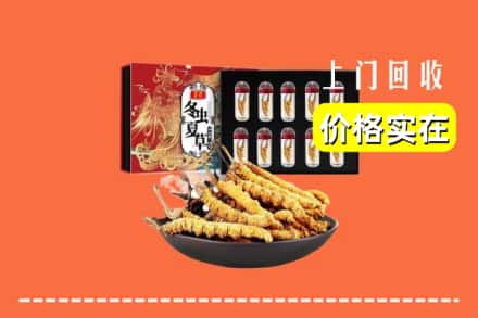 眉山仁寿回收冬虫夏草
